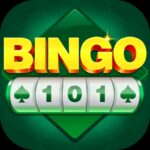 BINGO 101